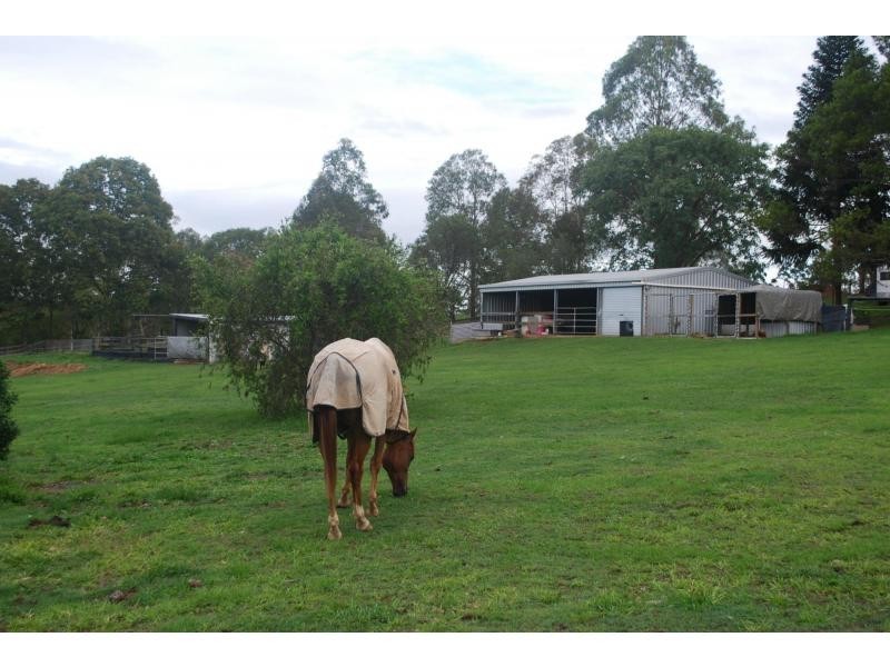 Kandanga QLD 4570