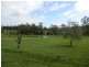Kandanga QLD 4570