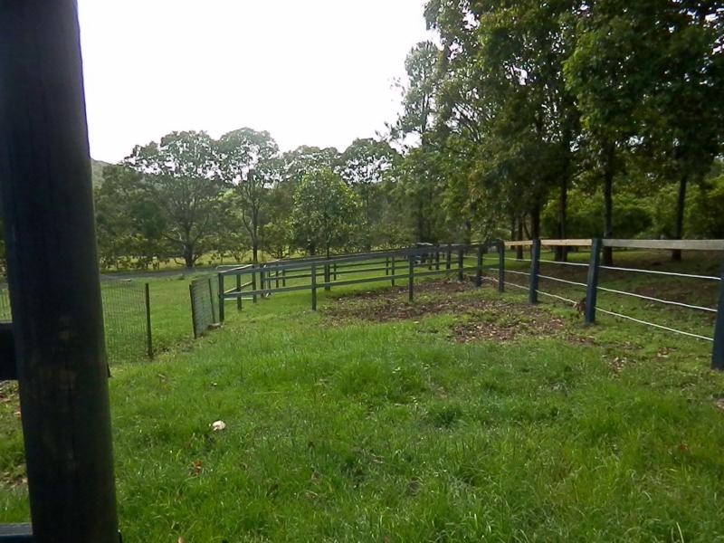 Kandanga QLD 4570