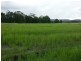 Yandina QLD 4561