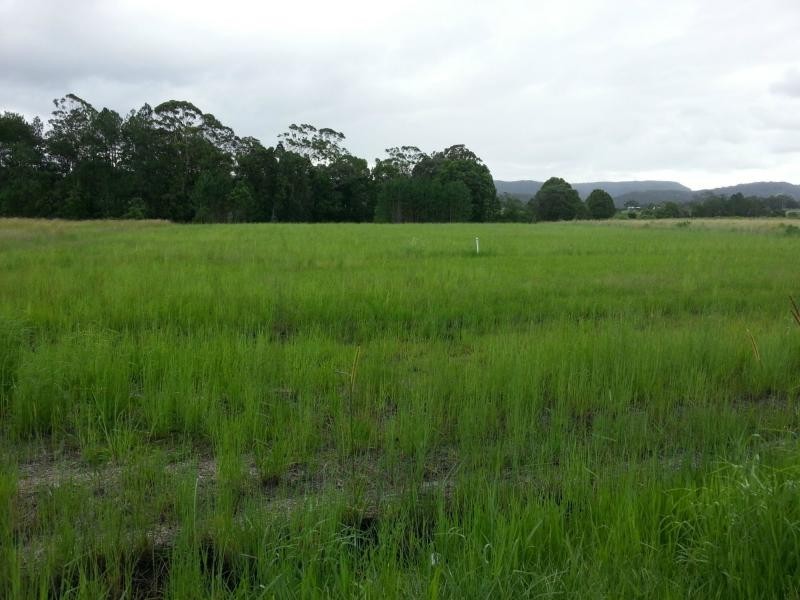 Yandina QLD 4561