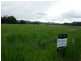 Yandina QLD 4561
