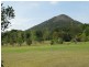 Eumundi QLD 4562