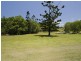 Eumundi QLD 4562
