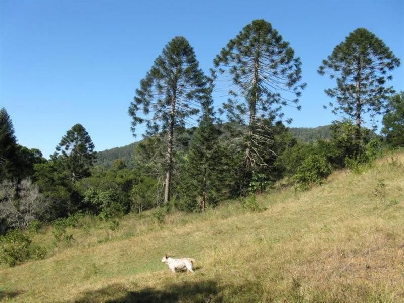 563 EUMUNDI – KENILWORTH Road, Eerwah Vale QLD 4562