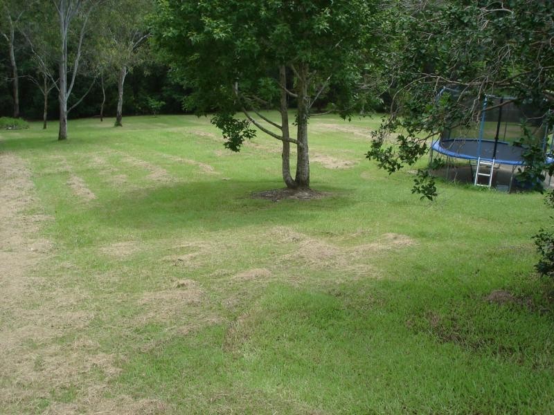 362 DUKE Road, Doonan QLD 4562