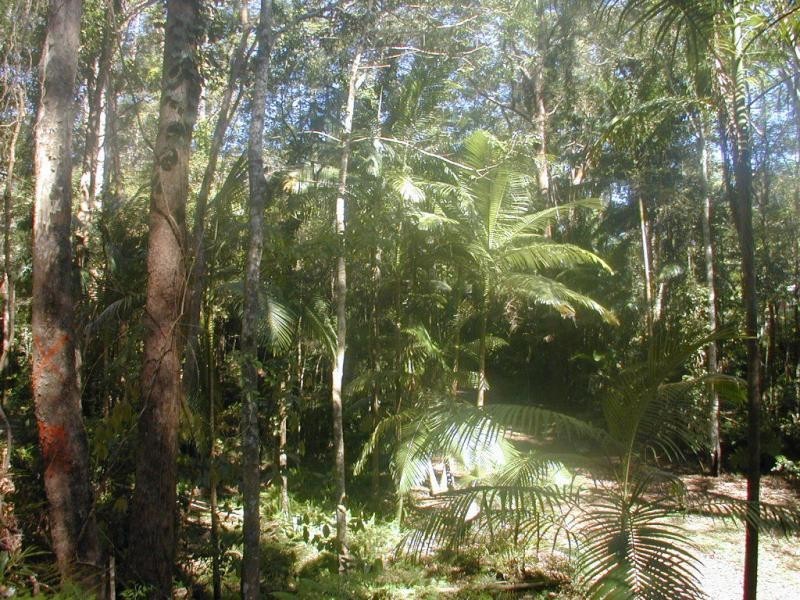 13 TALLGUM Avenue, Verrierdale QLD 4562