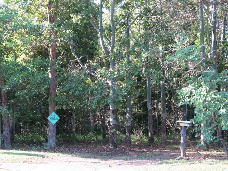 329 BUNYA Road, North Arm QLD 4561