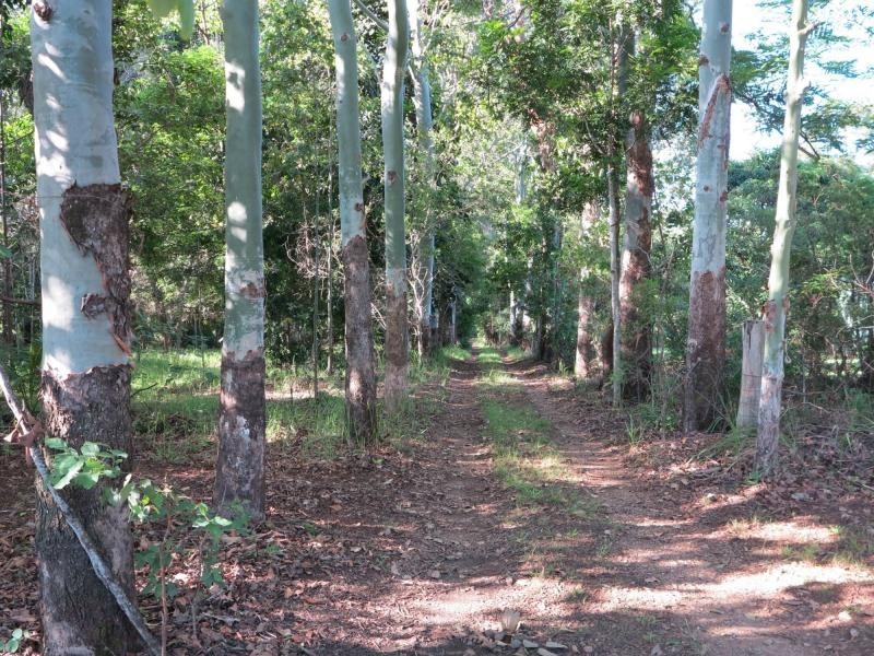 329 BUNYA Road, North Arm QLD 4561