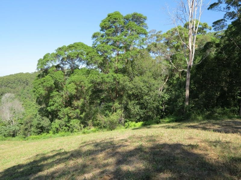 76 GOLDEN RAIN Lane, Eerwah Vale QLD 4562