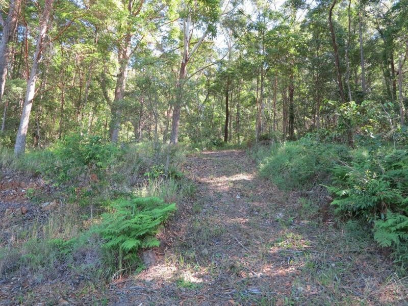 76 GOLDEN RAIN Lane, Eerwah Vale QLD 4562