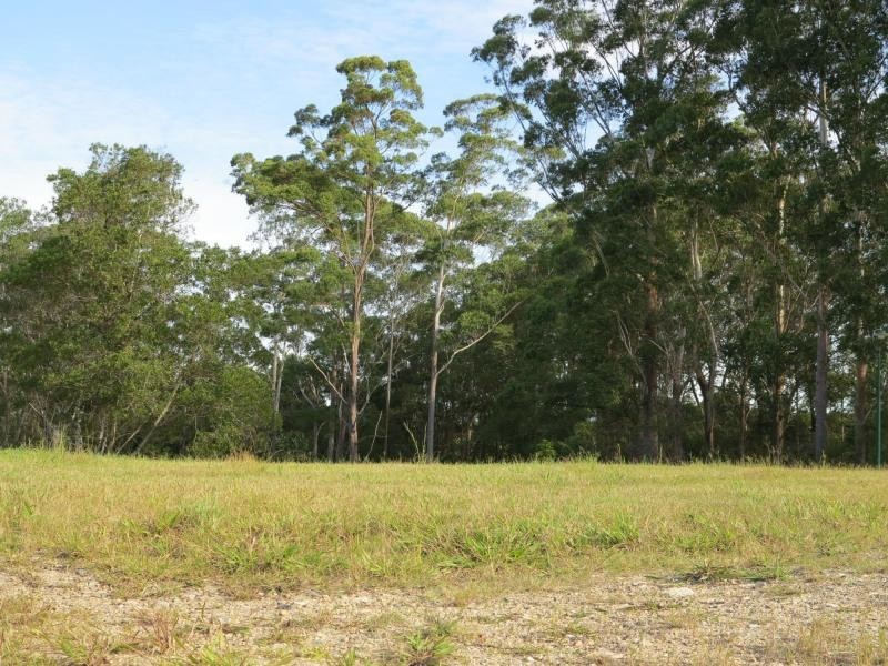 22 WILLIAM Road, Eumundi QLD 4562