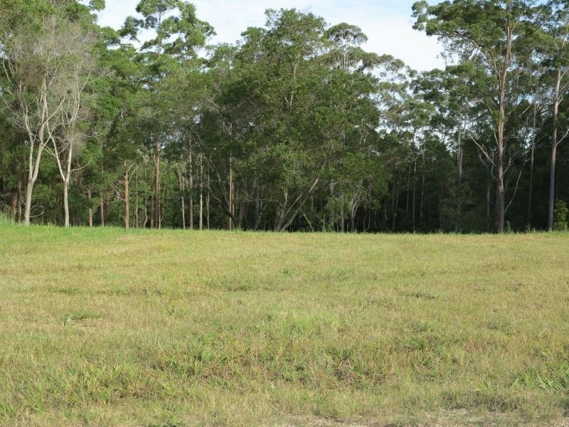 22 WILLIAM Road, Eumundi QLD 4562