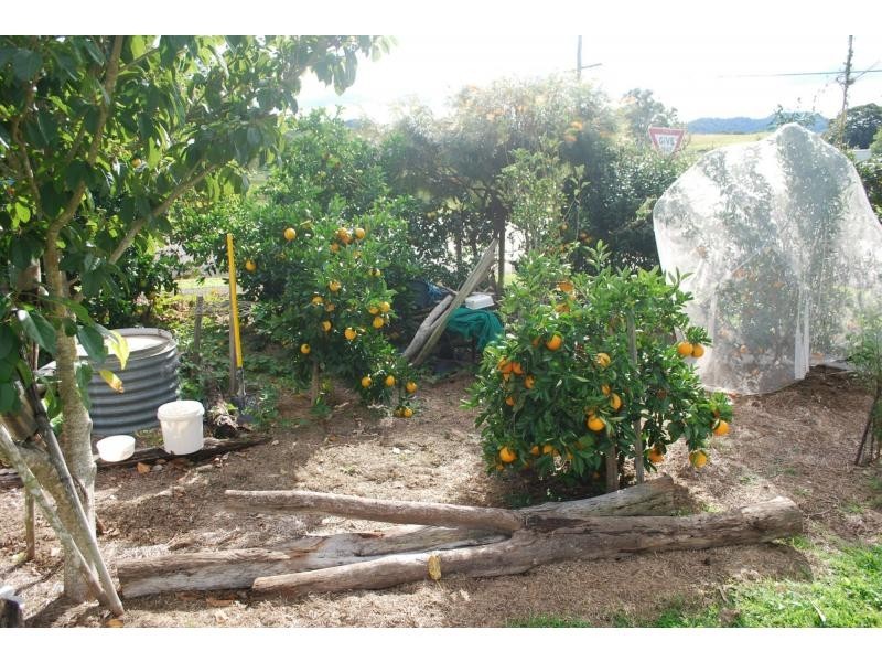 3 to 5 George Street, Kenilworth QLD 4574