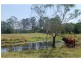 154 Seib Road, Eumundi QLD 4562
