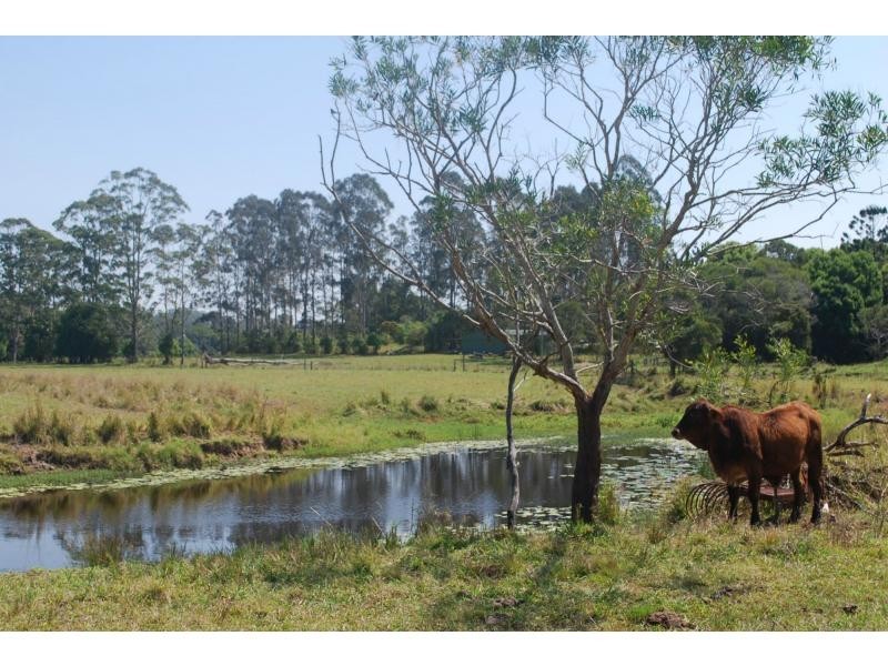 154 Seib Road, Eumundi QLD 4562