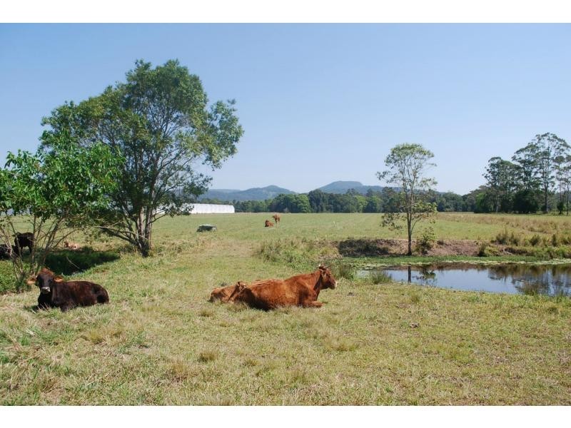 154 Seib Road, Eumundi QLD 4562