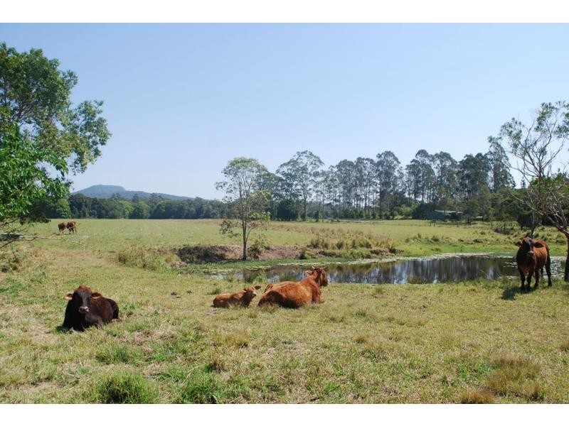 154 Seib Road, Eumundi QLD 4562