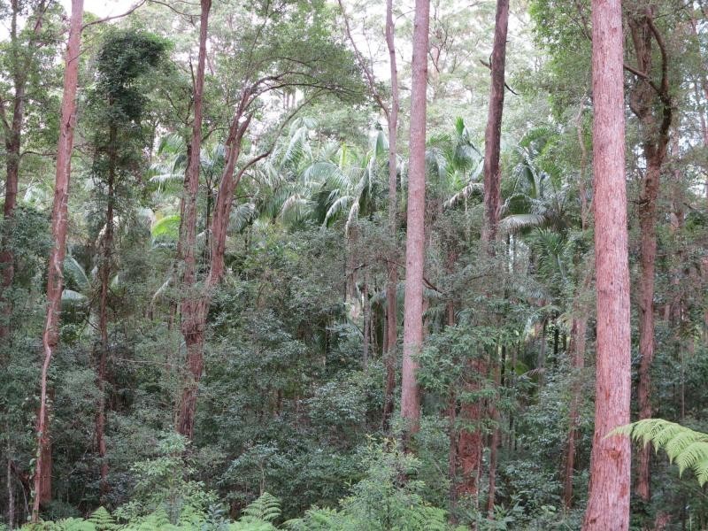 24-90 DEAN Road, Verrierdale QLD 4562