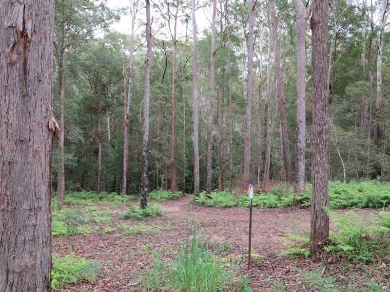 24-90 DEAN Road, Verrierdale QLD 4562