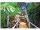 558 BUNYA Road, Eumundi QLD 4562