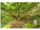 558 BUNYA Road, Eumundi QLD 4562