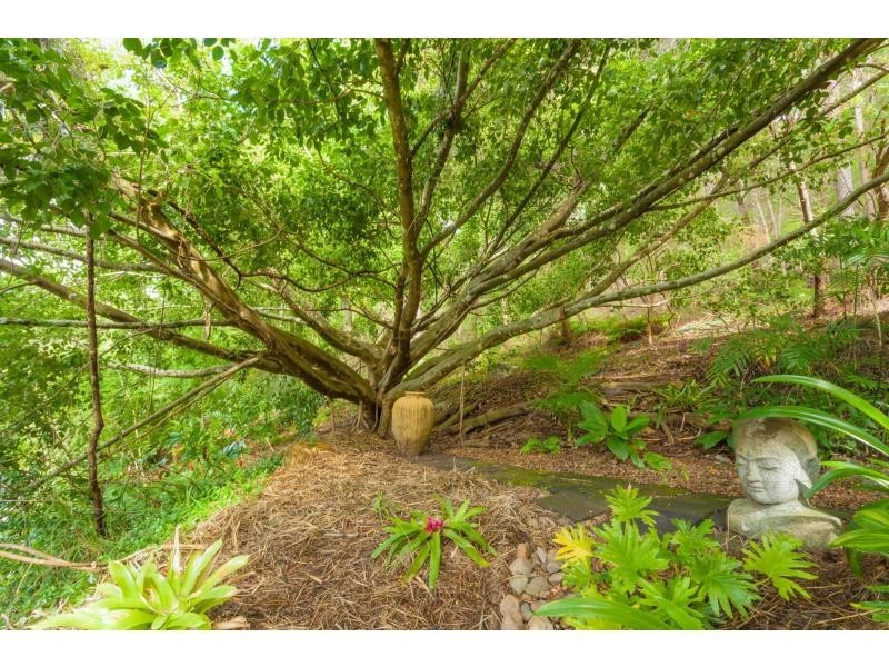 558 BUNYA Road, Eumundi QLD 4562