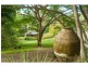 558 BUNYA Road, Eumundi QLD 4562