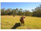 40 Pathara Road, North Arm QLD 4561