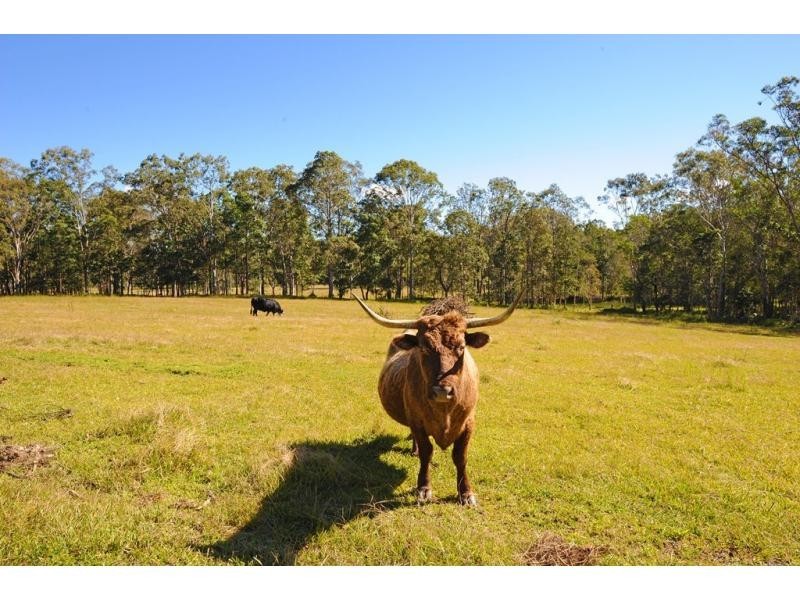 40 Pathara Road, North Arm QLD 4561
