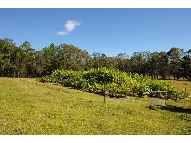 40 Pathara Road, North Arm QLD 4561