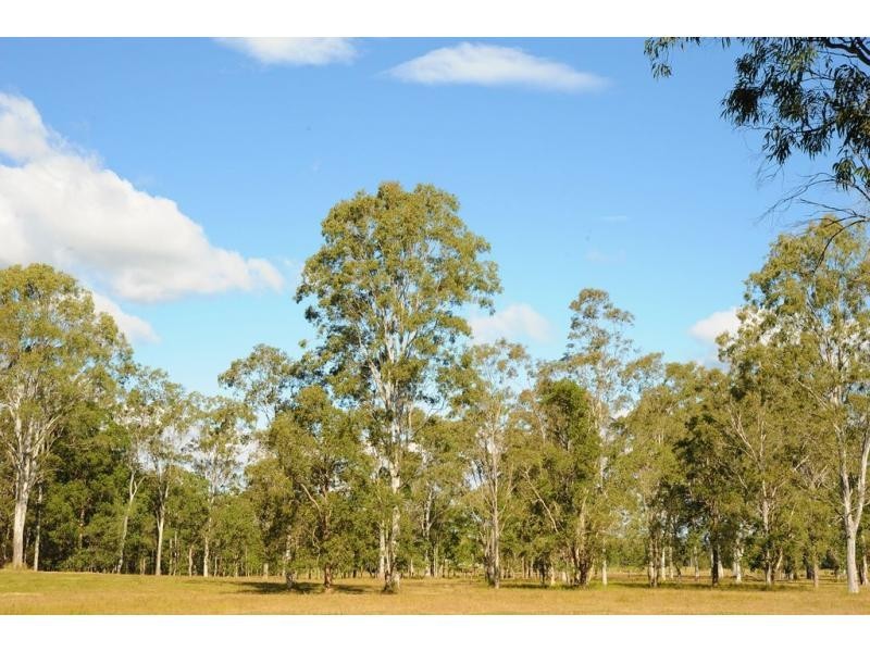 40 Pathara Road, North Arm QLD 4561