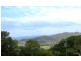 Eumundi QLD 4562
