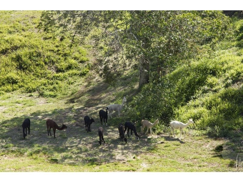 563 Eumundi Kenilworth Road, Eerwah Vale QLD 4562