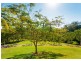 Eumundi QLD 4562