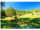 Eumundi QLD 4562
