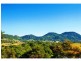 Eumundi QLD 4562