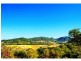 Eumundi QLD 4562
