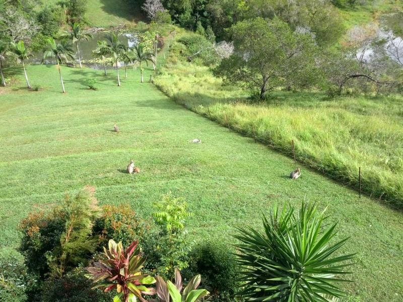 96 Evans Road, Black Mountain QLD 4563