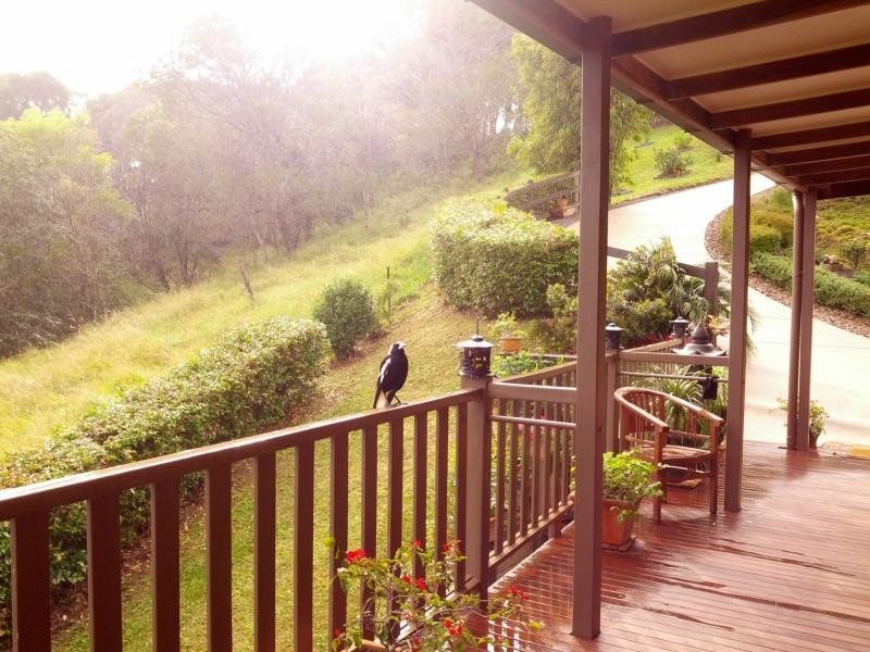 96 Evans Road, Black Mountain QLD 4563