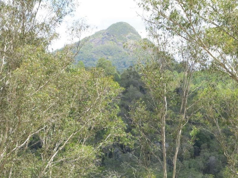 52 Whispering Gum Avenue, Rafter Country, Eumundi QLD 4562