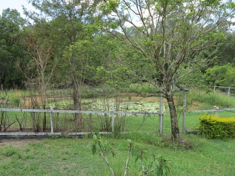 2 PAYNE Street, Eumundi QLD 4562