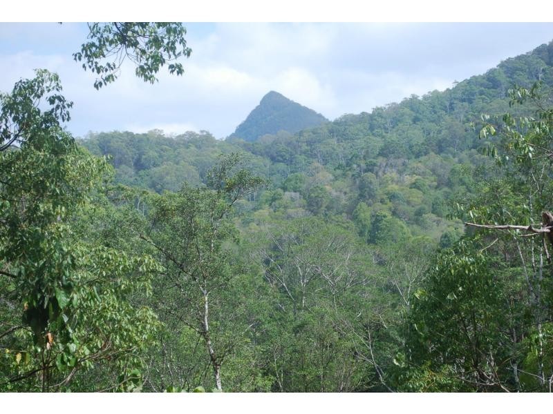 268 Gold Creek Road, North Arm QLD 4561