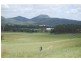 161-237 SEIB Road, Eumundi QLD 4562