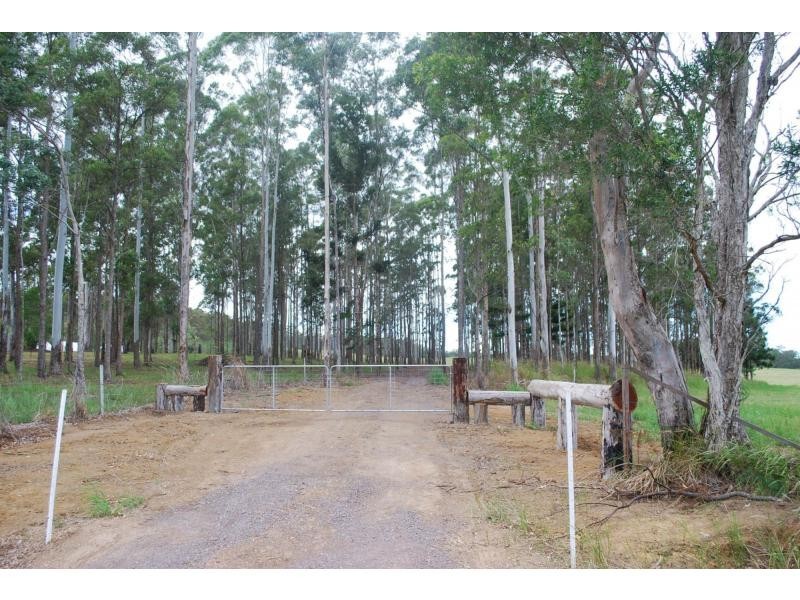 161-237 SEIB Road, Eumundi QLD 4562