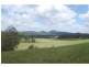 161-237 SEIB Road, Eumundi QLD 4562