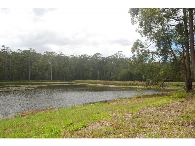 161-237 SEIB Road, Eumundi QLD 4562