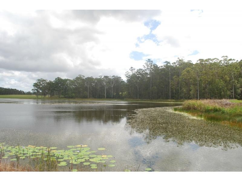 161-237 SEIB Road, Eumundi QLD 4562