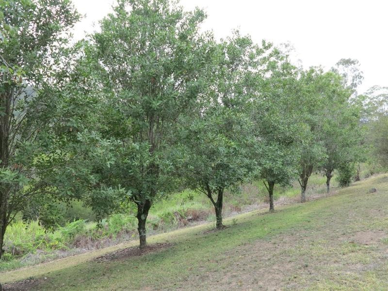 156 to 158 Browns Road, Belli Park QLD 4562