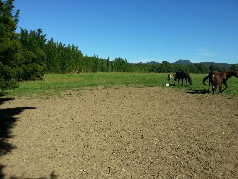 200 SEIB Road, Eumundi QLD 4562